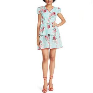 Betsey Johnson Rose Garden Tea Party Two Tier Ruffle Dress NWOT